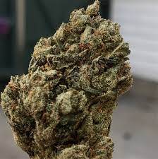 Buy Snoop Dogg OG Weed Strain